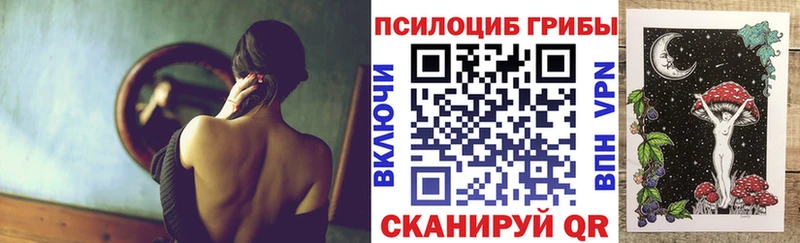 закладка  Новокубанск  Галлюциногенные грибы ЛСД 